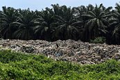 Recyclers Cringe as Southeast Asia Says It’s Sick of the West’s Trash