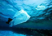 California lawmakers want businesses to fund plastic cleanup