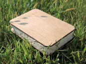 Compostable composites just around the corner