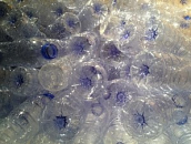 Is Plastic Waste the Trigger for Broader Environmental Engagement?